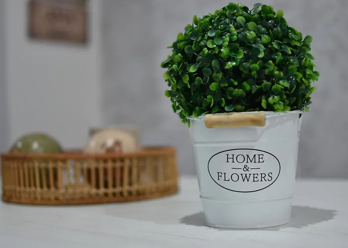 Aroma Apartamento Olvera